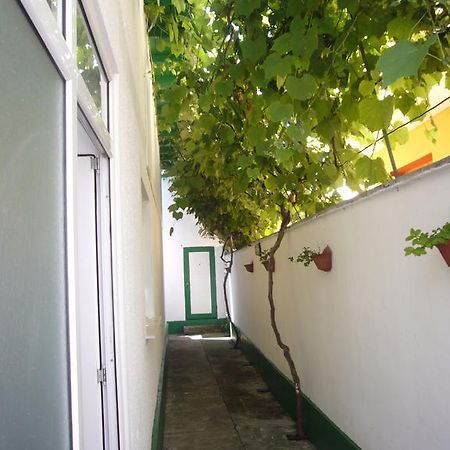 Apartamente Pinciuc Costinesti Buitenkant foto