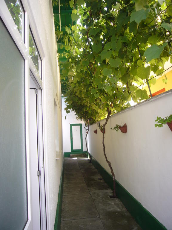 Apartamente Pinciuc Costinesti Buitenkant foto